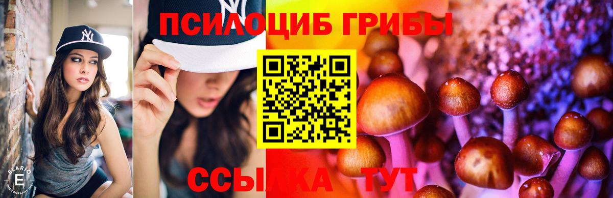 Галлюциногенные грибы прущие грибы Кушва